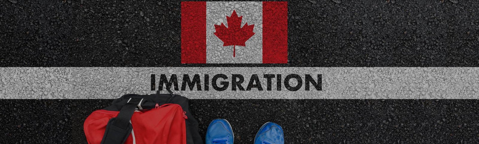 EVSA Immigration image 1